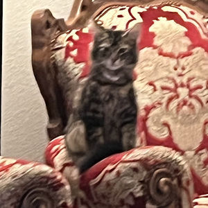 Meet your Posher, Candy